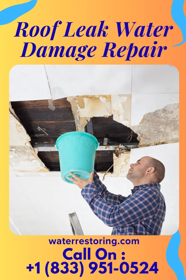 Roof Leak Water Damage Repair in Tieton, WA